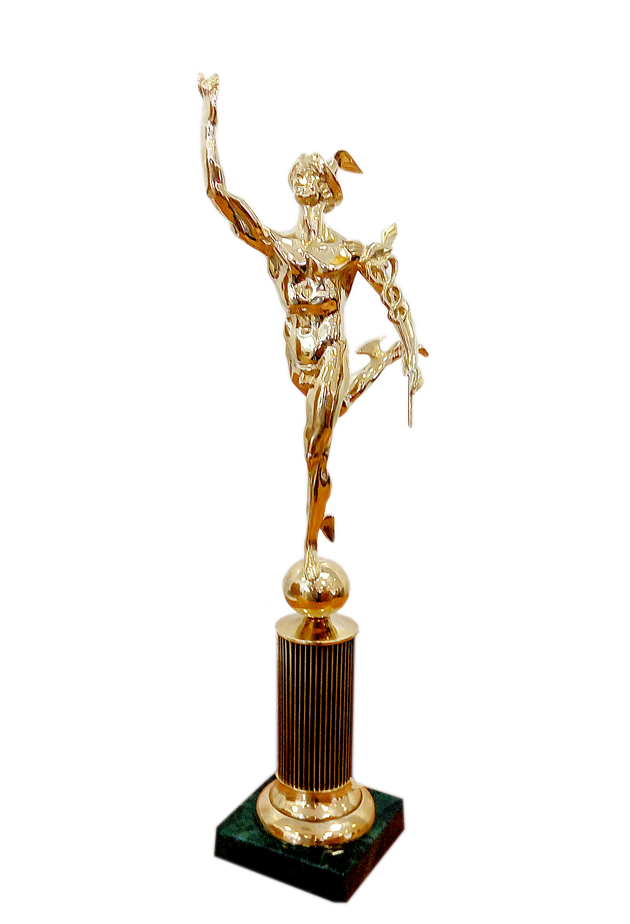 The winner of the "Golden Mercury" business national award by results of 2014, "Contribution to the development of Russian entrepreneurship" ad-hoc nomination